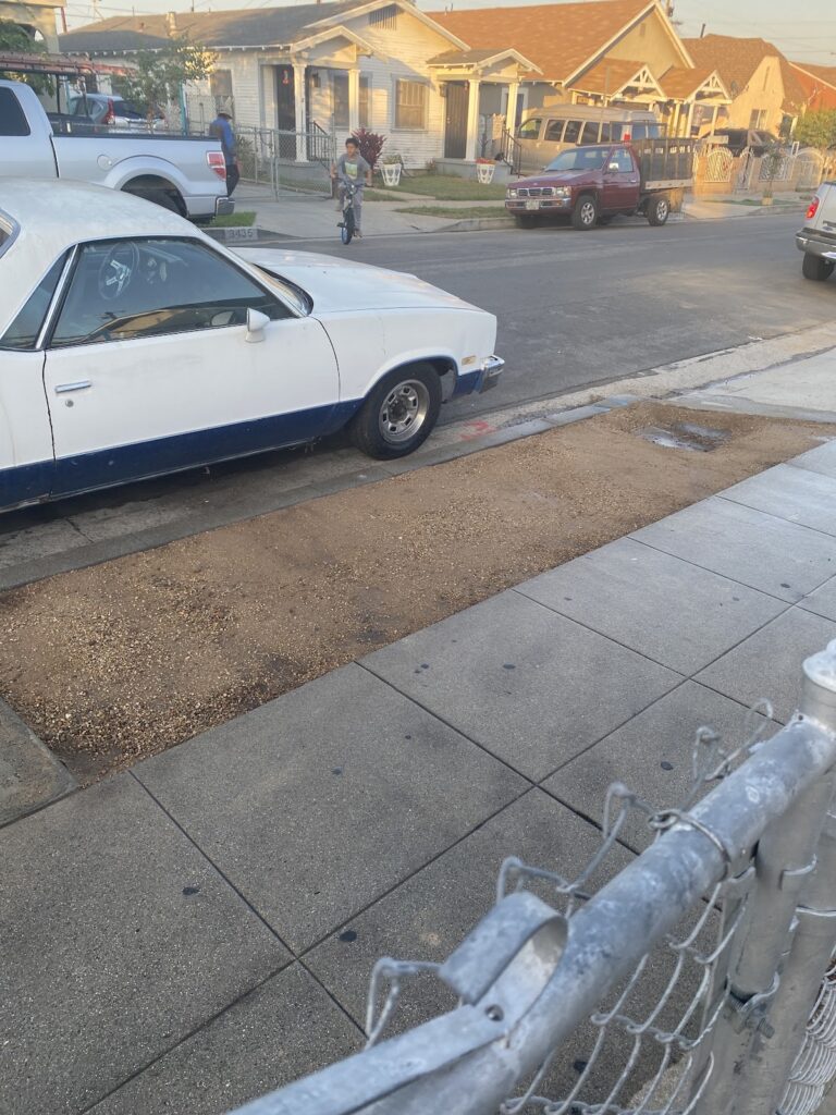 Gallery image - work by Four Seasons Landscaping in Huntington Park, CA