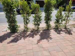 Work by Four Seasons Landscaping