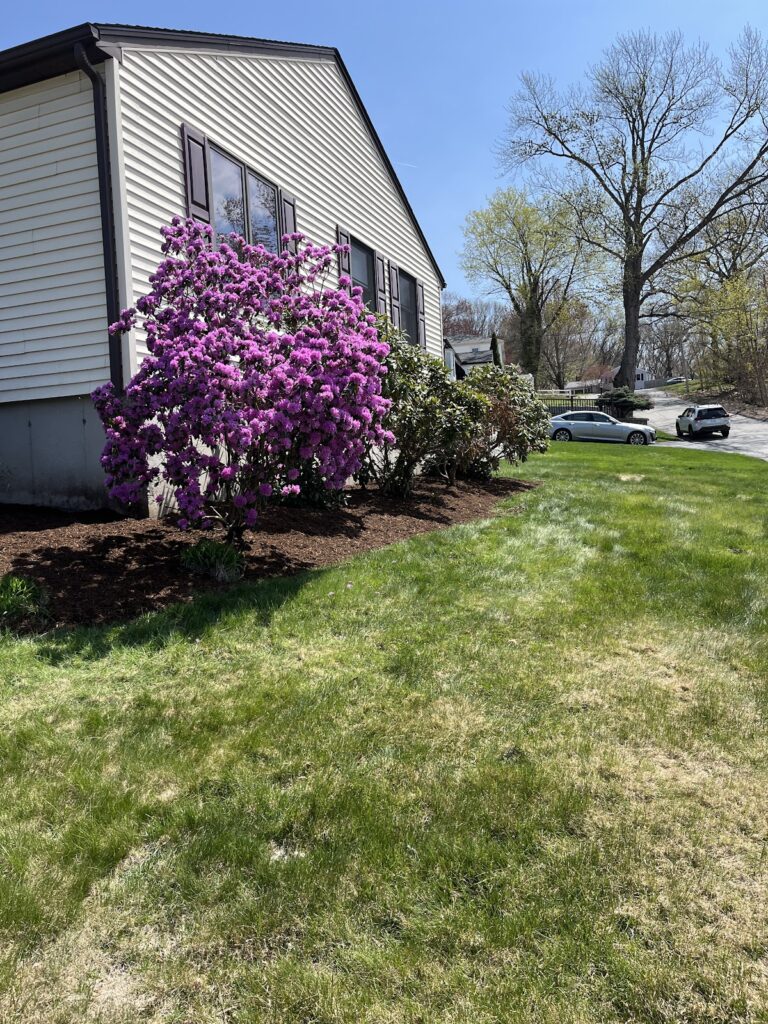 Gallery image - work by Ortiz Outdoor Service in Woonsocket, RI
