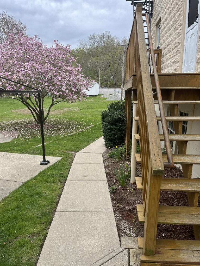 Gallery image - work by Ortiz Outdoor Service in Woonsocket, RI
