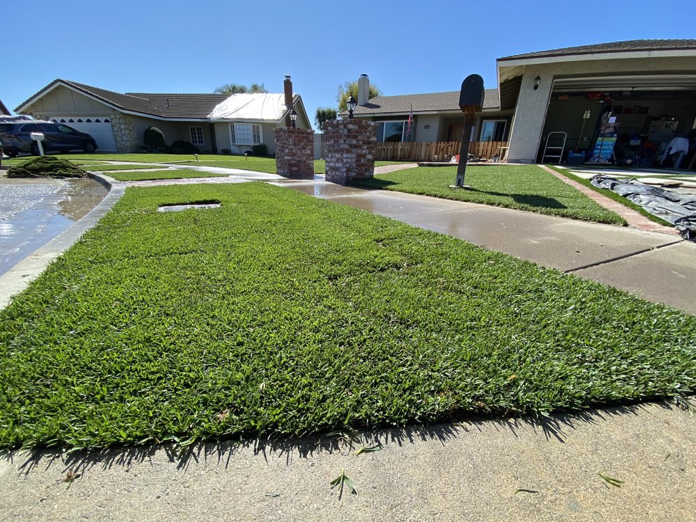 Gallery image - work by Above All Landscape Company in Anaheim, CA