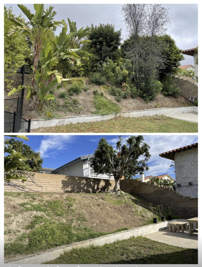 Gallery image - work by AR Tree Service & Landscaping Inc. in Anaheim, CA