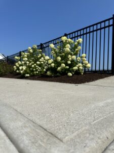 Work by C.M. Dunfee & Sons Property Management