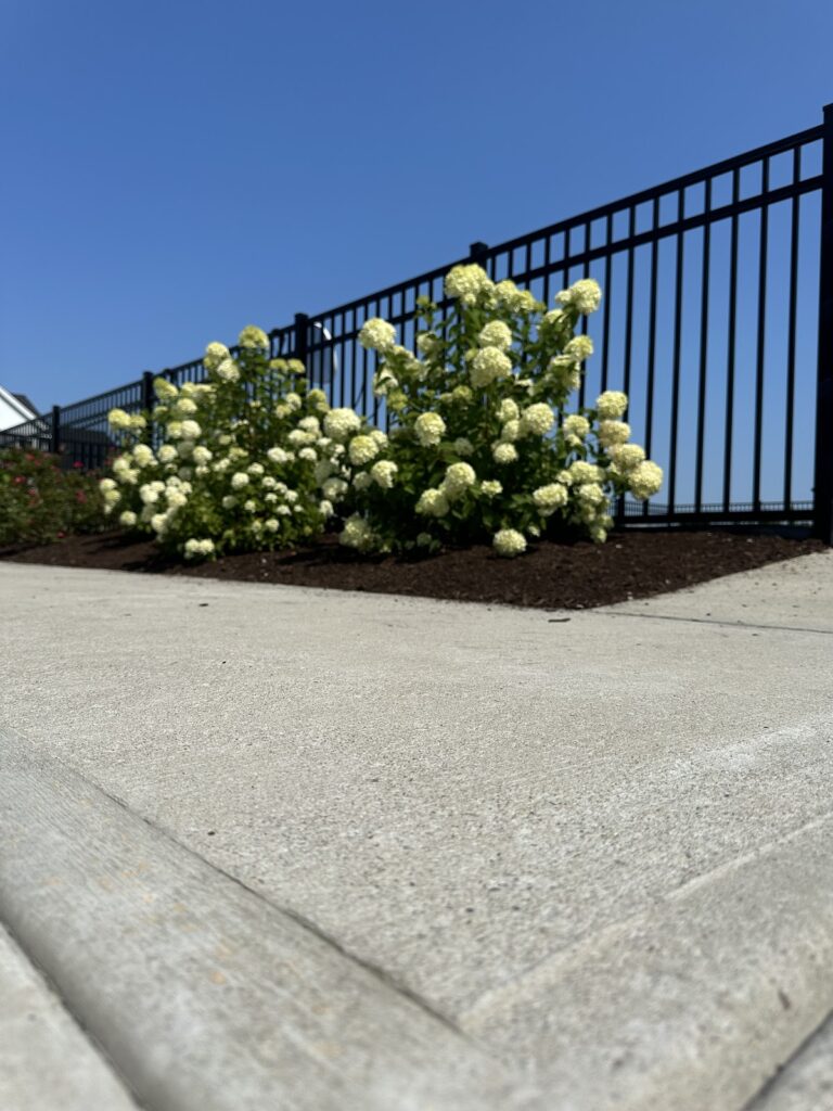 Gallery image - work by C.M. Dunfee & Sons Property Management in Marion, MA