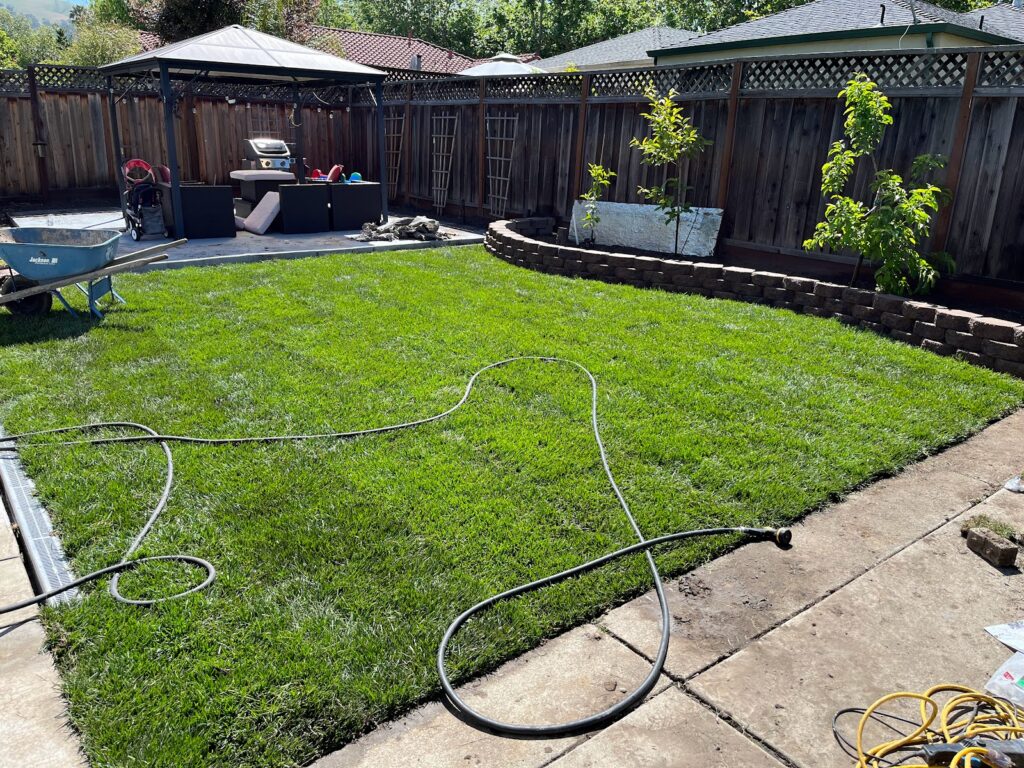 Gallery image - work by Action Landscaping in Alum Rock, CA
