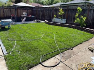 Work by Action Landscaping