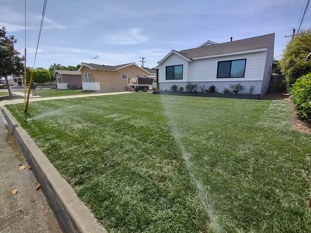 Gallery image - work by SUAZO LANDSCAPE INC in Anaheim, CA