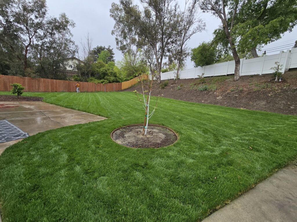 Gallery image - work by SUAZO LANDSCAPE INC in Anaheim, CA
