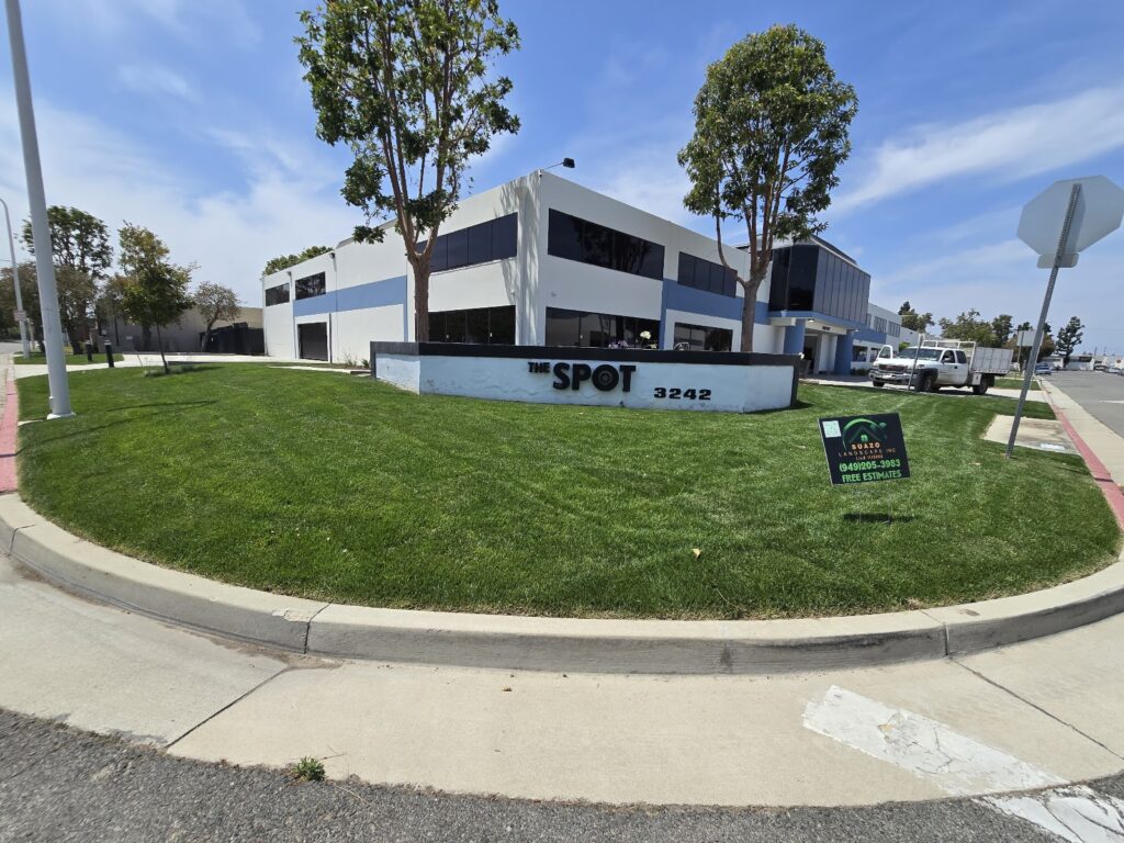Gallery image - work by SUAZO LANDSCAPE INC in Anaheim, CA