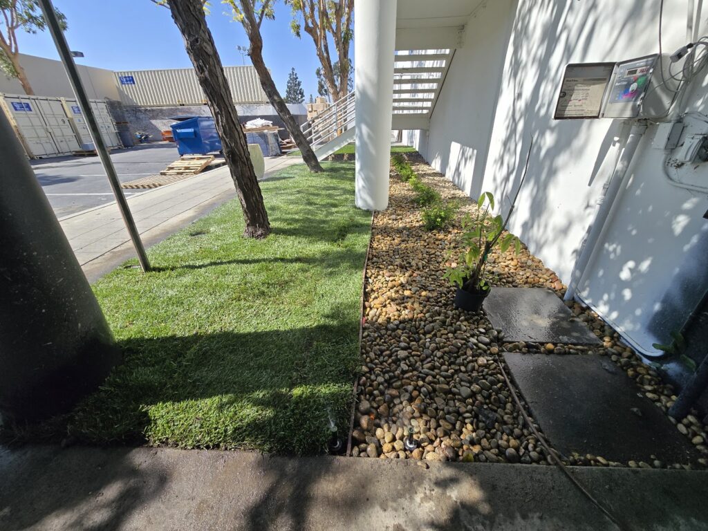 Gallery image - work by SUAZO LANDSCAPE INC in Anaheim, CA