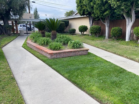 Gallery image - work by Go Green Us Landscaping in Anaheim, CA