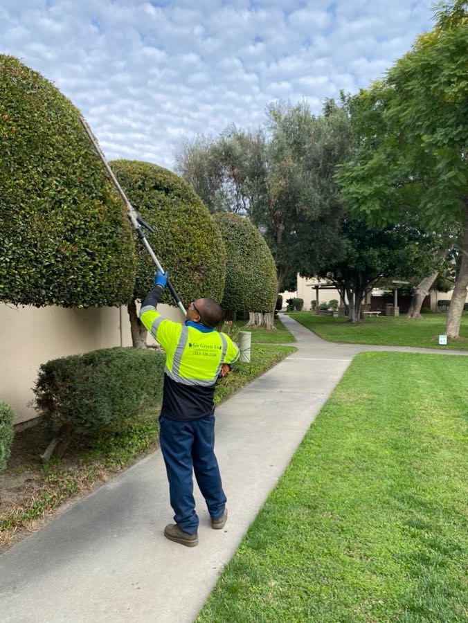 Gallery image - work by Go Green Us Landscaping in Anaheim, CA