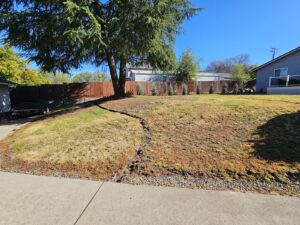 Work by Suncrest Landscape Inc.