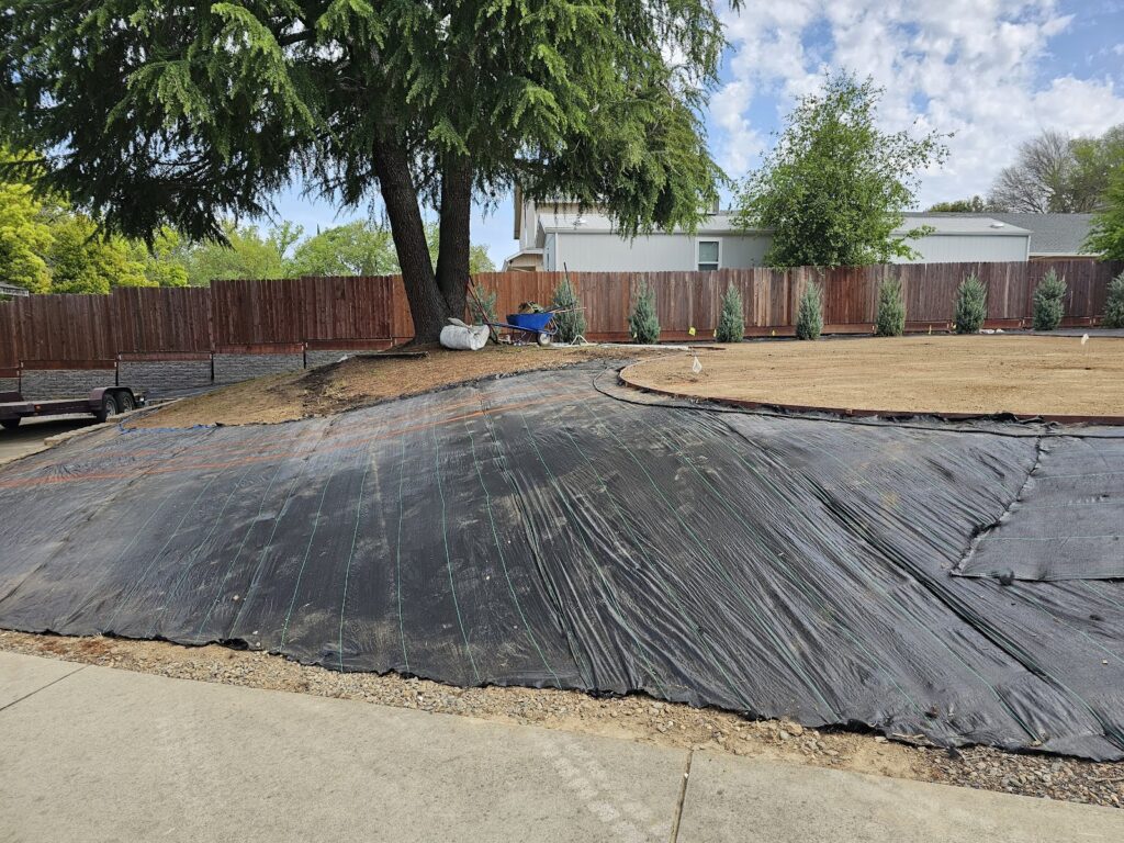 Gallery image - work by Suncrest Landscape Inc. in Folsom, CA