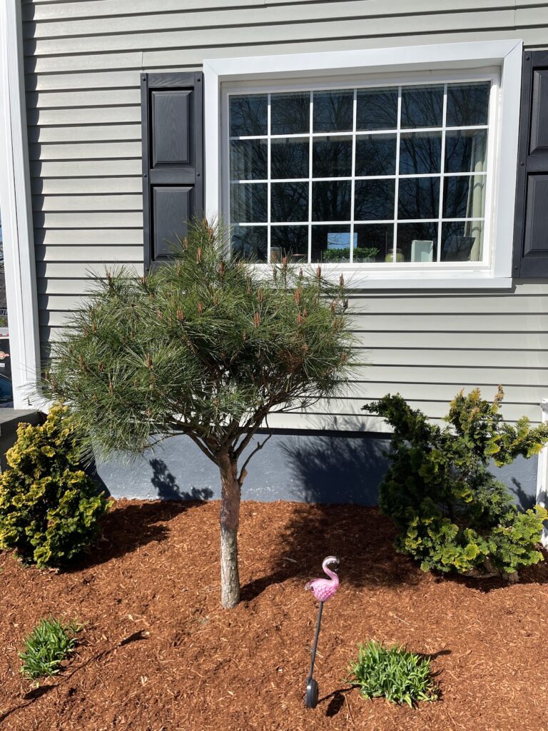 Gallery image - work by OCD Landscaping LLC in Woonsocket, RI