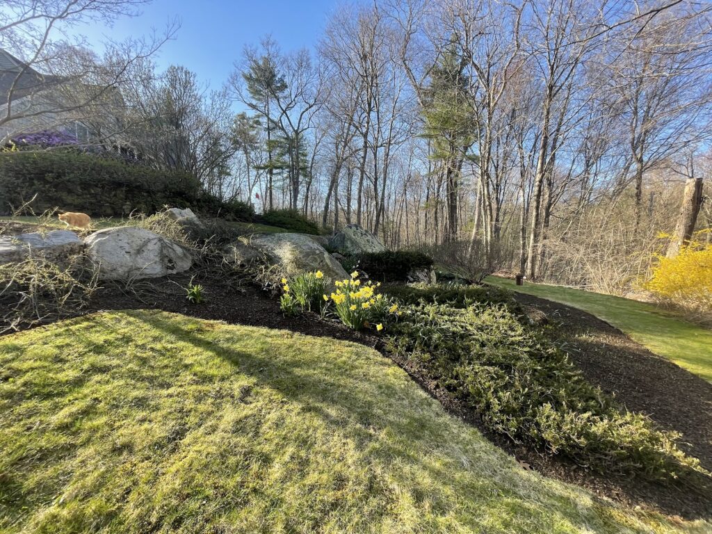 Gallery image - work by OCD Landscaping LLC in Woonsocket, RI