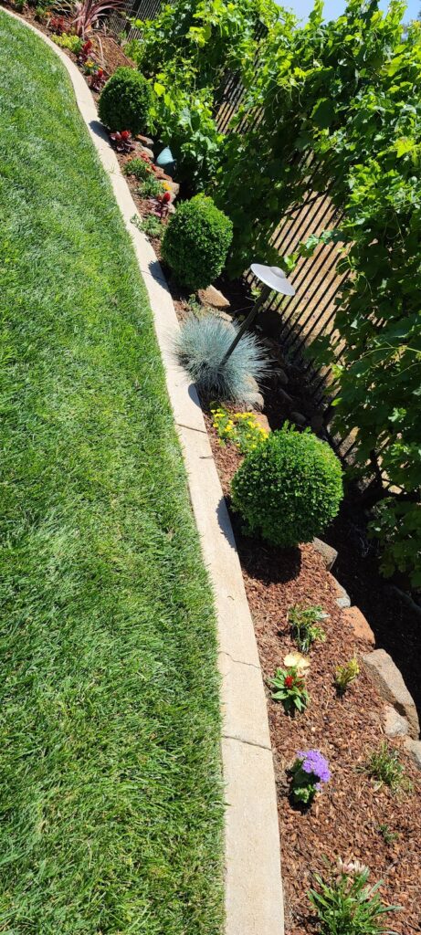 Gallery image - work by R & J Landscaping in San Jose, CA