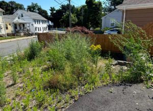 Work by Xscape Landscape