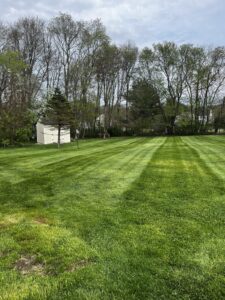 Work by Xscape Landscape