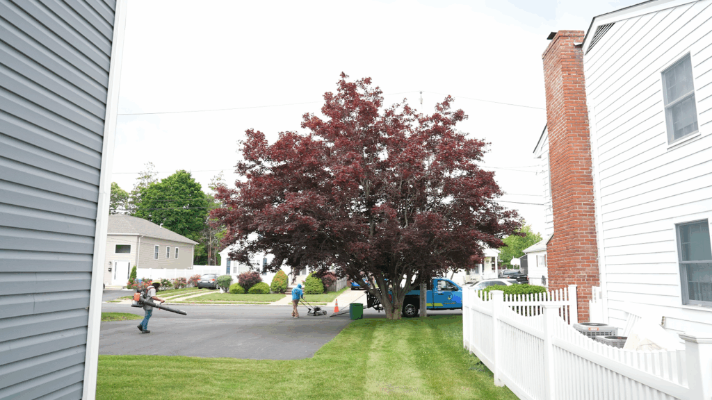 Gallery image - work by TRAPROCK Landscaping in Rumford, RI