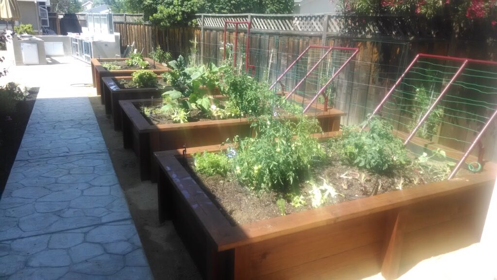 Gallery image - work by Almaden Valley Landscape Inc. in San Jose, CA