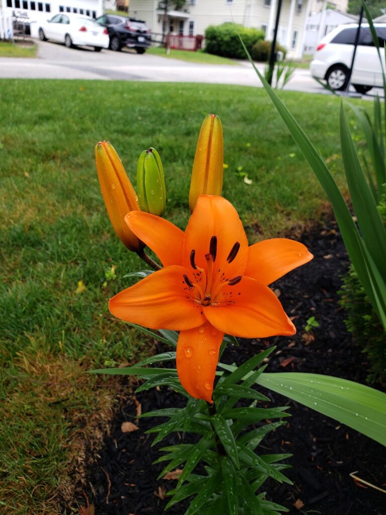 Gallery image - work by Kilkan's Construction & Landscaping in Woonsocket, RI