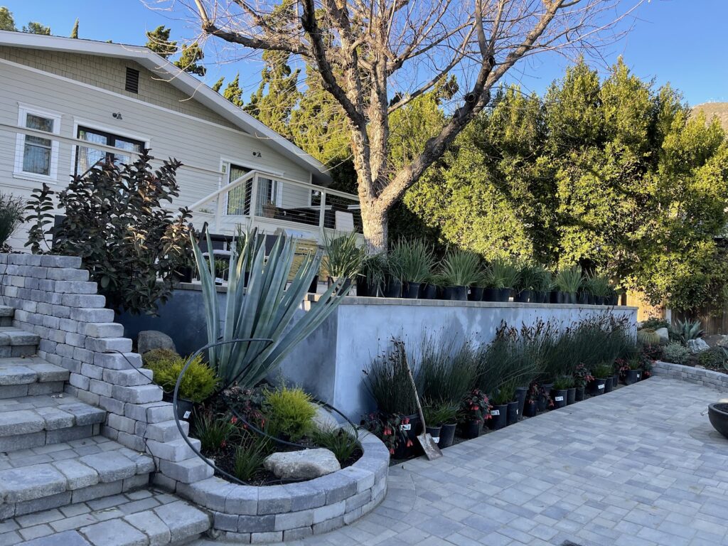 Gallery image - work by C&C Landscaping Inc in San Jose, CA