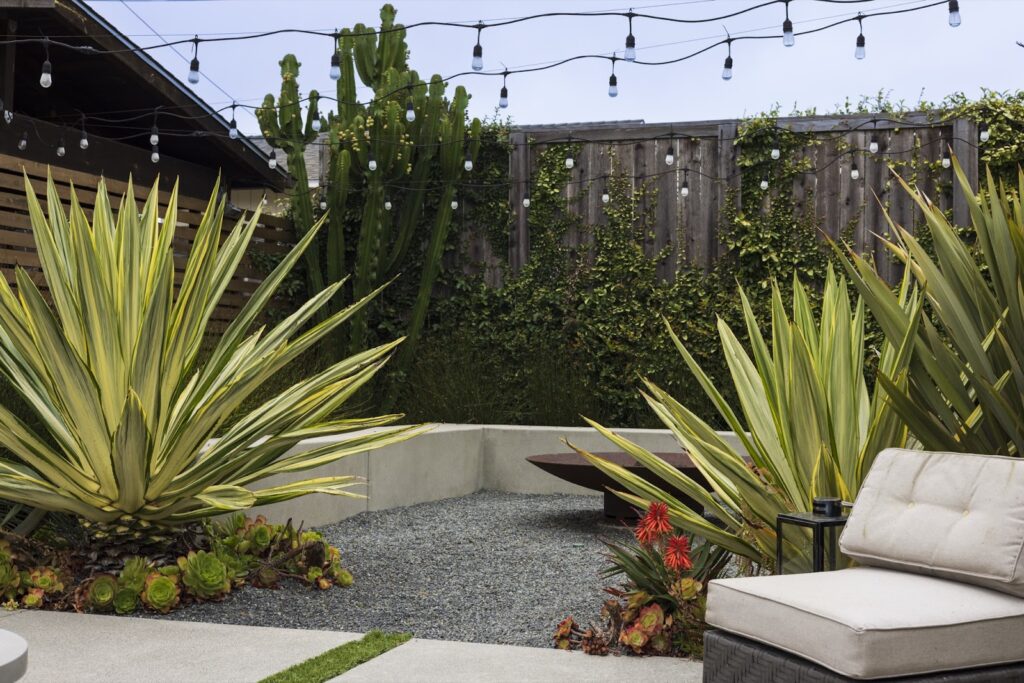 Gallery image - work by Cleator Landscape Design in San Diego, CA