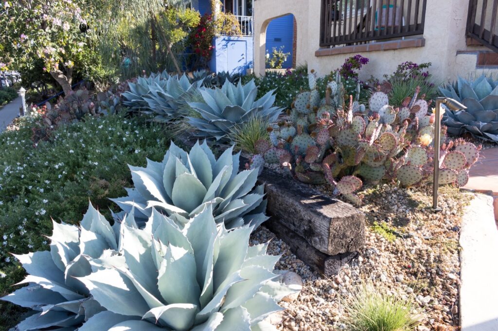 Gallery image - work by Cleator Landscape Design in San Diego, CA