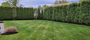 Work by Chad's Landscaping Inc.