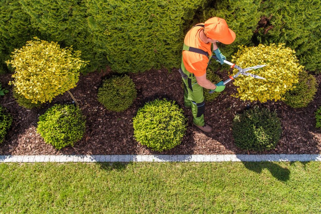 Gallery image - work by Socal Landscape & Gardening in Los Angeles, CA