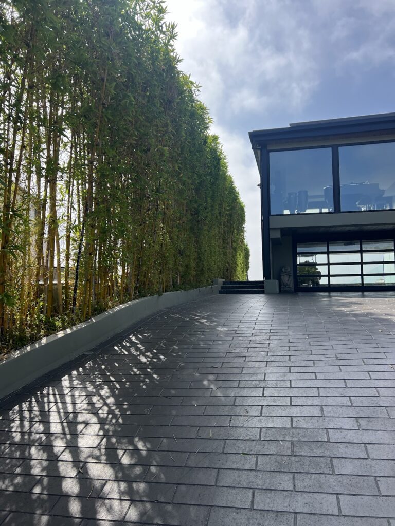 Gallery image - work by Socal Landscape & Gardening in Los Angeles, CA